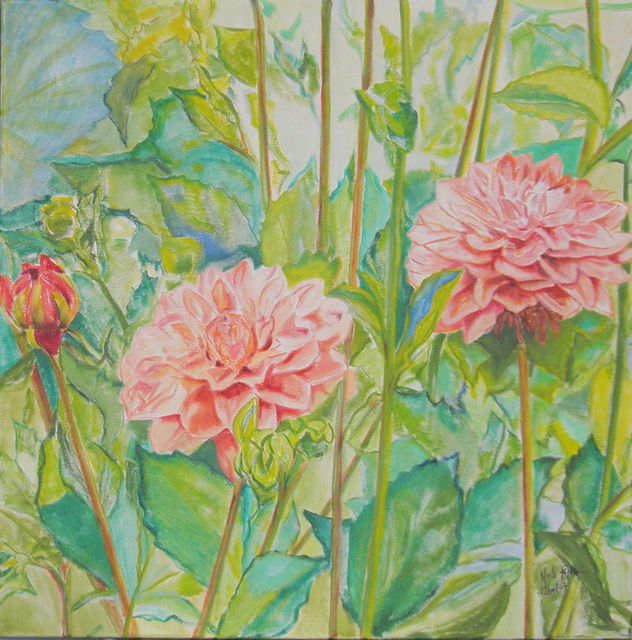Dalias 3