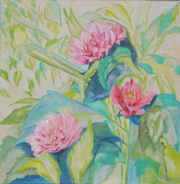 Dalias 4