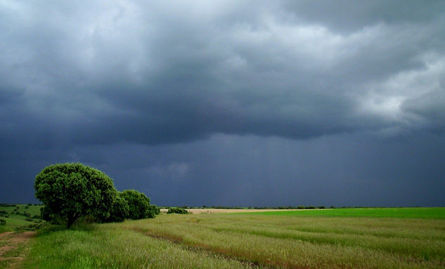 Tormenta2 Naturaleza Color (Digital)