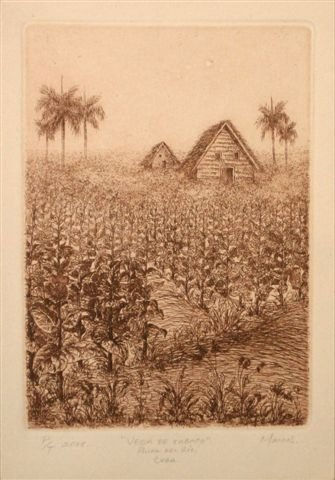 “Vega de Tabaco en Pinar del Rio” Etching Process