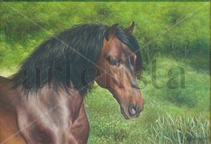 CABALLO DE P.R.E.