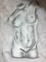 BUSTO EN CARBONCILLO