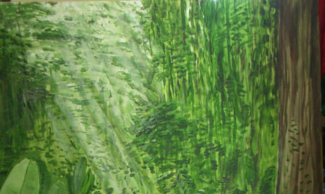 VERDES