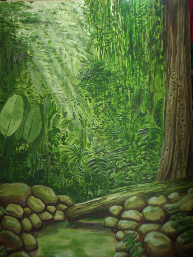 Bosque Primario Tropìcal