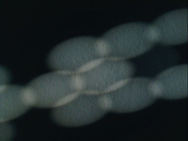 REFLEJOS EN LA PARED