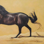 CABALLOS thumbnail 1
