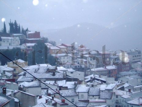 Paterna nevada....