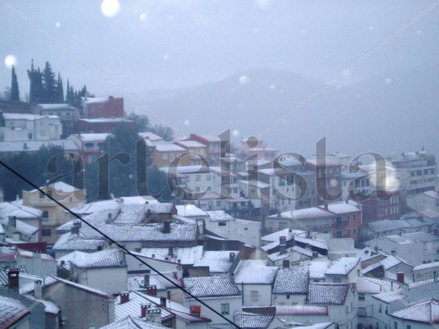 Paterna nevada. Albacete. España.