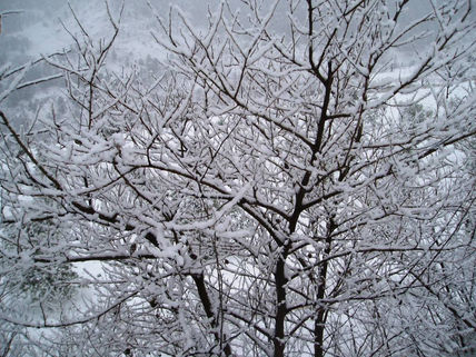 Nevada en Paterna....