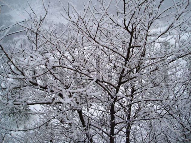 Nevada en Paterna. Albacete. España.
