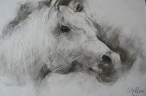 Boceto caballo