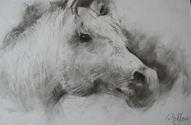 Boceto caballo Carboncillo