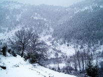 Monte nevado