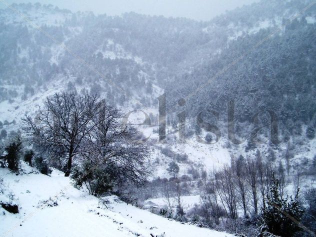 Monte nevado