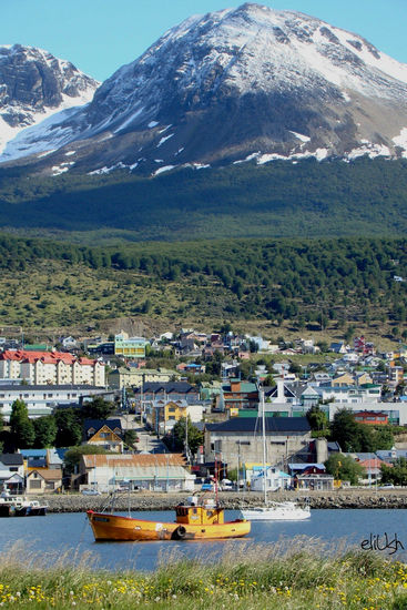 Pesquero en la Bahía de Ushuaia Nature Color (Digital)