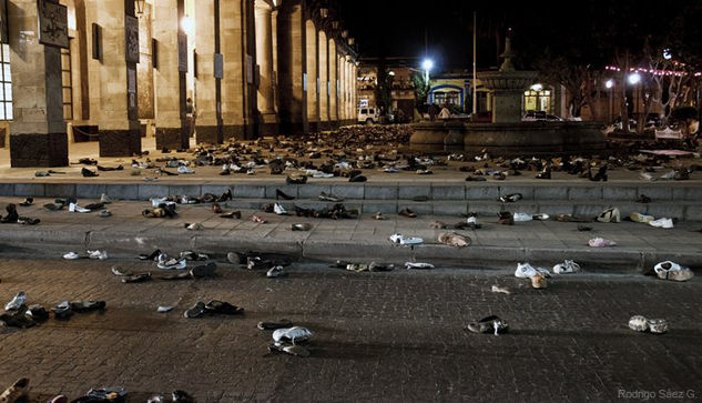 "... CORRÍAN DE UN LADO A OTRO ... Y YA EN LA MADRUGADA EL ESPECTÁCULO ERA DANTESCO... Y LA PLA 