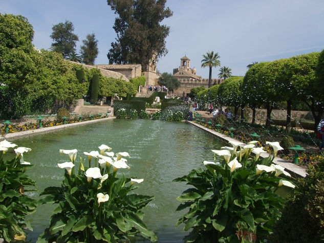 El Alcázar. 