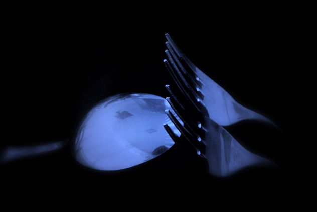 Cubiertos de Azul XVIII