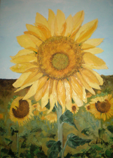 Girasoles Oil Canvas Landscaping