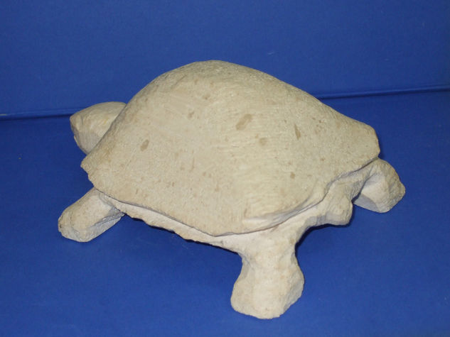 Tortuga Artica 