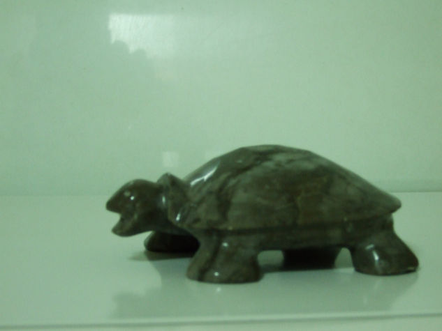 Tortuga Mediaval 