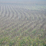 6 Fotografia thumbnail 2