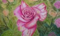 pastel