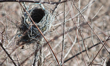 7 Fotografia Naturaleza