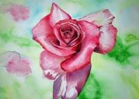 rosa II Watercolour Paper Floral Painting