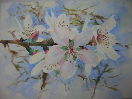 Flor de almendro
