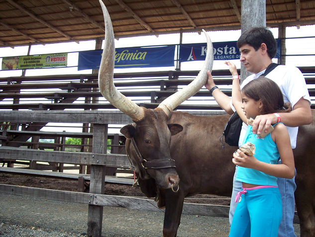 fotos de animales 19 de 123 