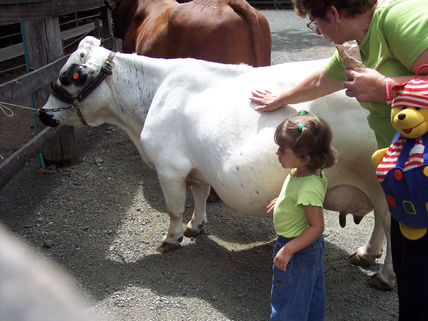 Fotos de animales...