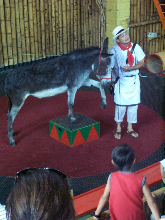 fotos de animales 38 de 123