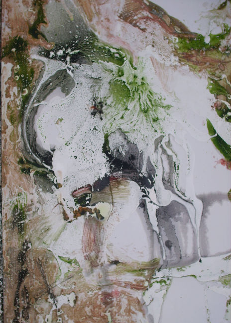 Registro xxiv