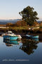 REFLEJOS DE ARBOL Y BARCAS