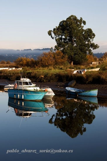 REFLEJOS DE ARBOL Y BARCAS 