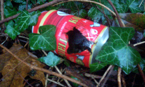 Latas entre hojas