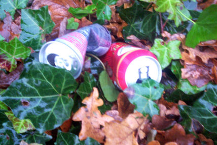 Latas 6