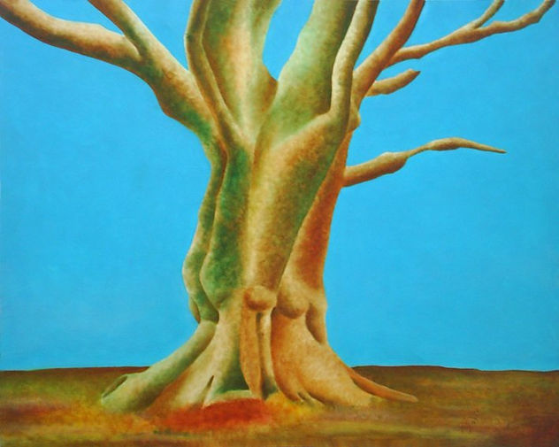 ARBOL FRIO (COLD TREE)