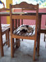 fotos de animales 52 de 123