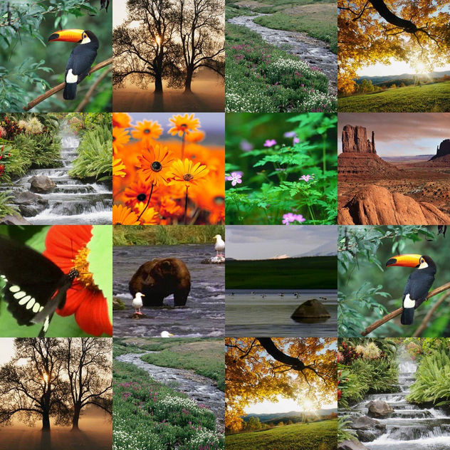 collage