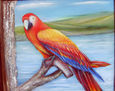 GUACAMAYA ROJA