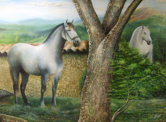 COQUETEO
