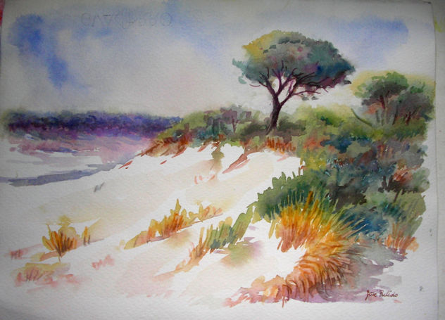 pinos y dunas I