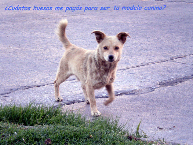 COTIZACIÓN
