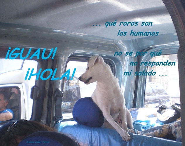SALUDO
