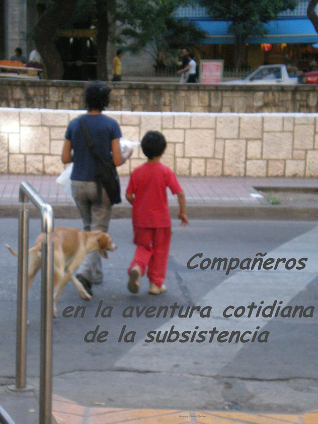 SUBSISTENCIA