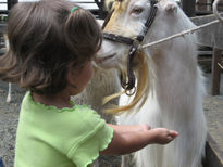 Fotos de animales...