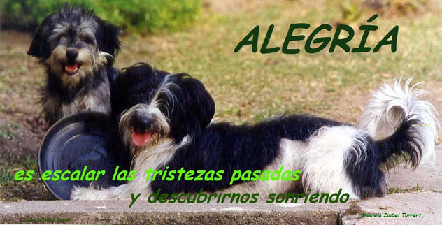 ALEGRÍA