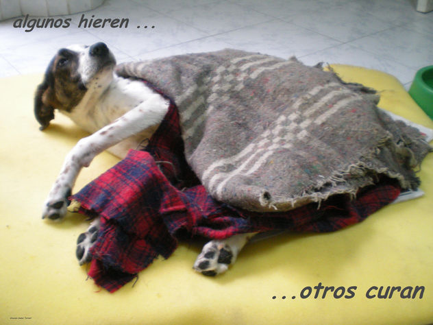 ALGUNOS